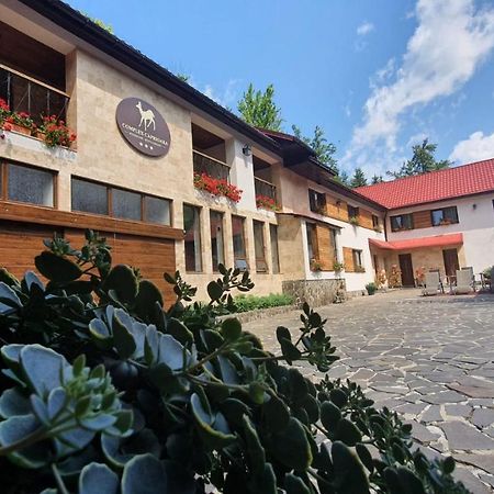 Отель Complex Turistic Caprioara Бая-Маре Экстерьер фото