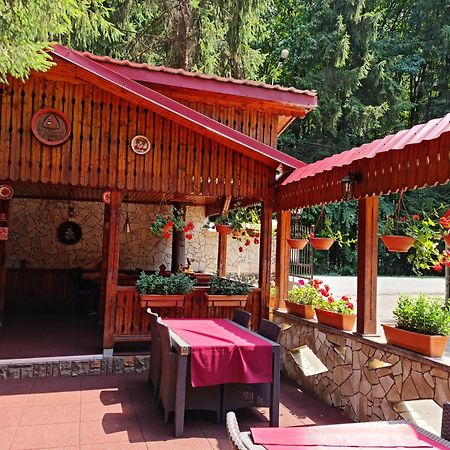 Отель Complex Turistic Caprioara Бая-Маре Экстерьер фото